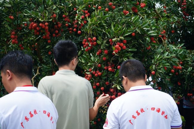 2306291038431469187871