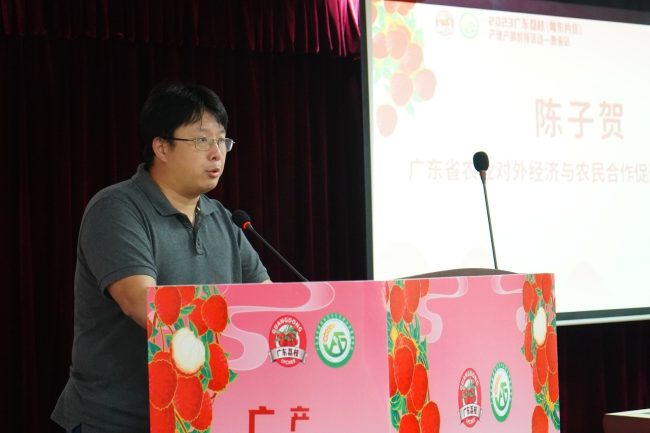 2306291038441356247304