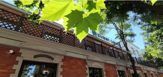 31e0cc31dcf30c505b98b8aca9890520