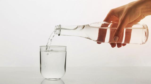 9825bc315c6034a80a25bd280f291d580823761e.jpeg@f_auto