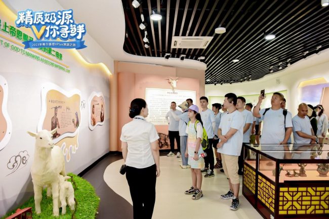 20230809113125637688185