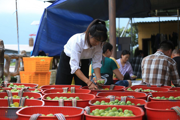 202308211608261789318501