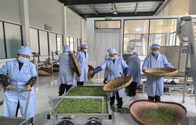 202410211700082037206882