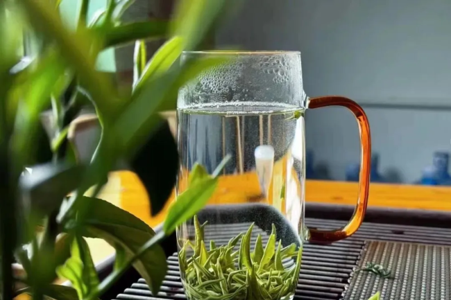 202410211700541295493253